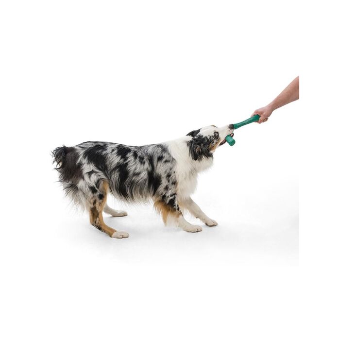 West Paw Dog Toy - Snorkl - Hibiscus