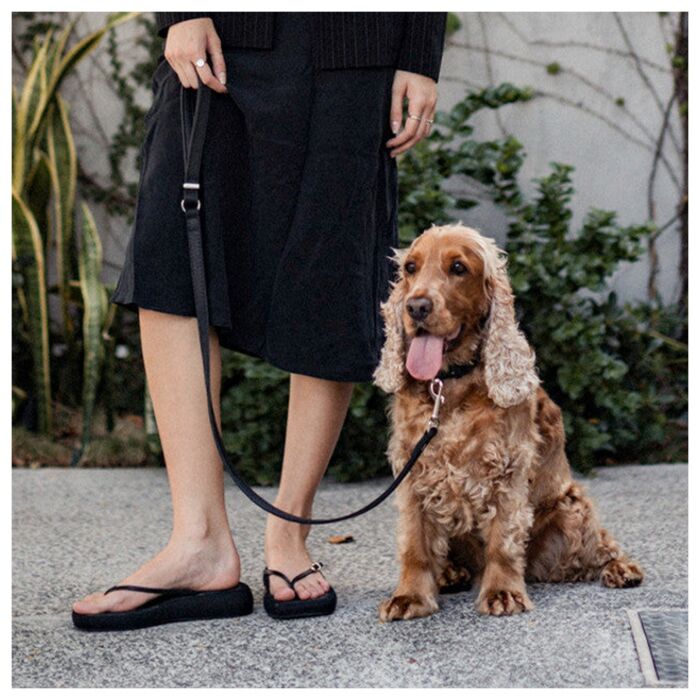 EZYDOG - Oxford Leather Dog Collar