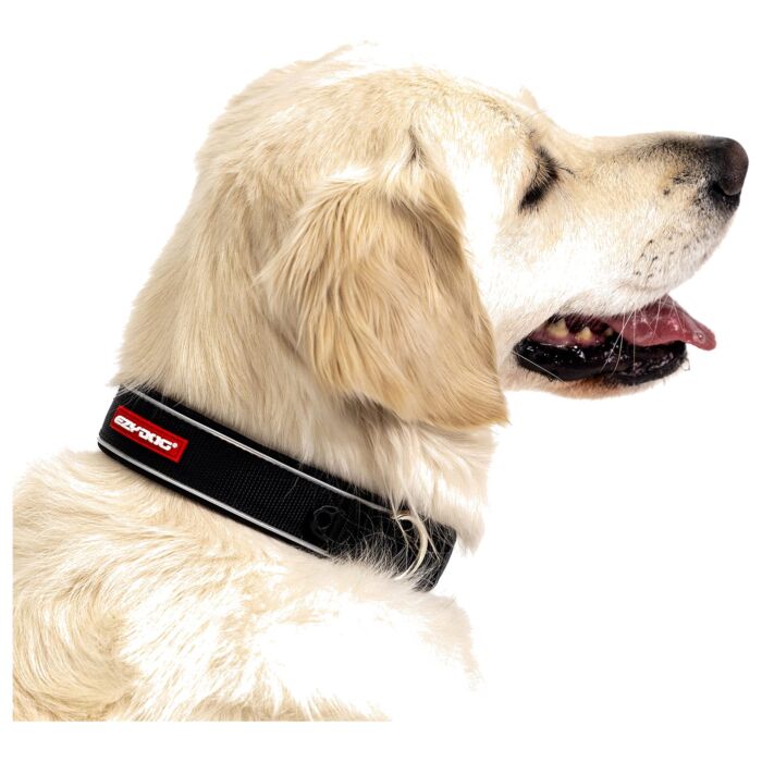 EZYDOG - Neo Classic Dog Collar