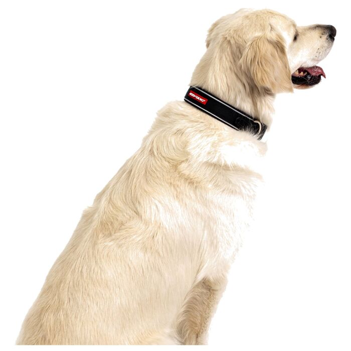EZYDOG - Neo Classic Dog Collar
