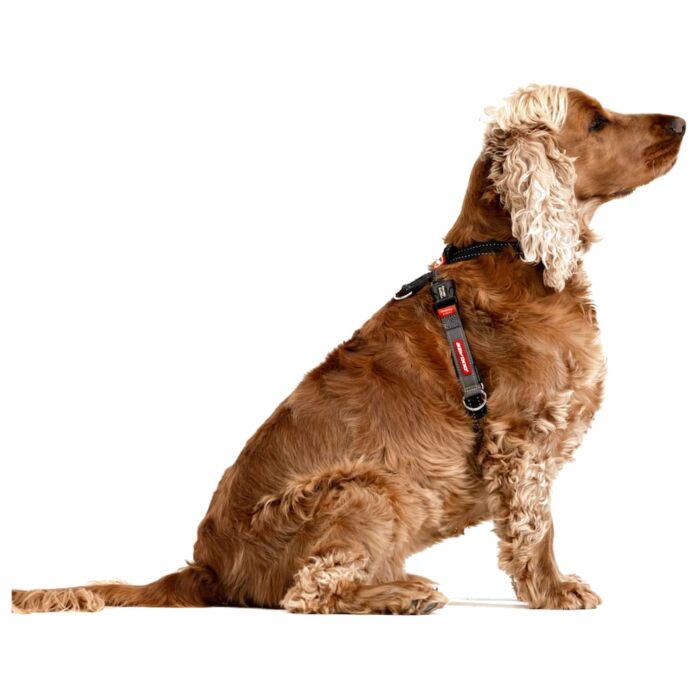 EZYDOG - Crosscheck Harness