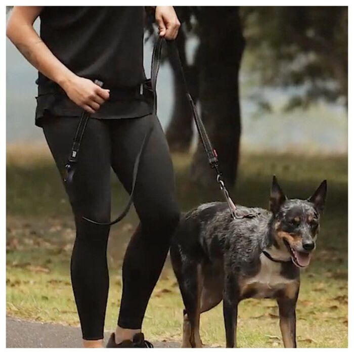 EZYDOG - Crosscheck Harness