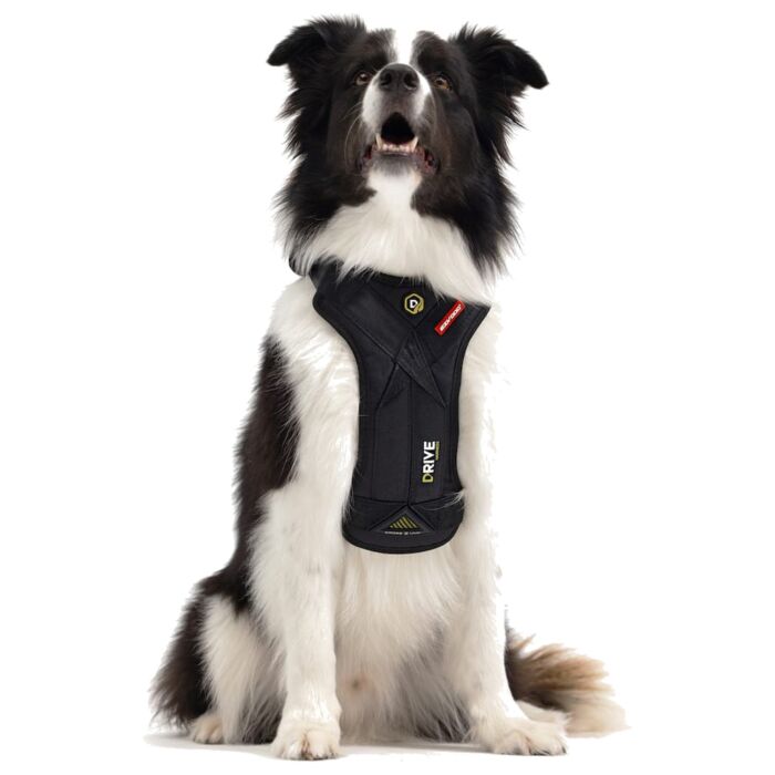 EZYDOG - Drive Dog Car Harness