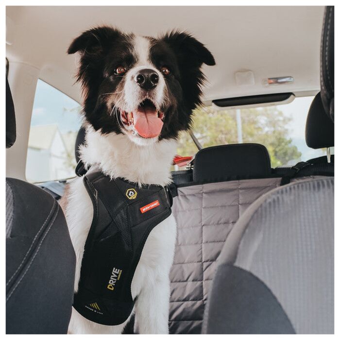 EZYDOG - Drive Dog Car Harness
