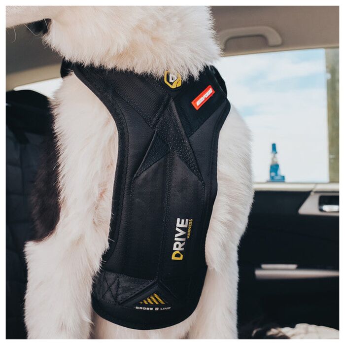 EZYDOG - Drive Dog Car Harness