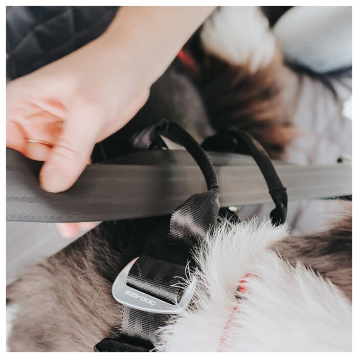 EZYDOG - Drive Dog Car Harness