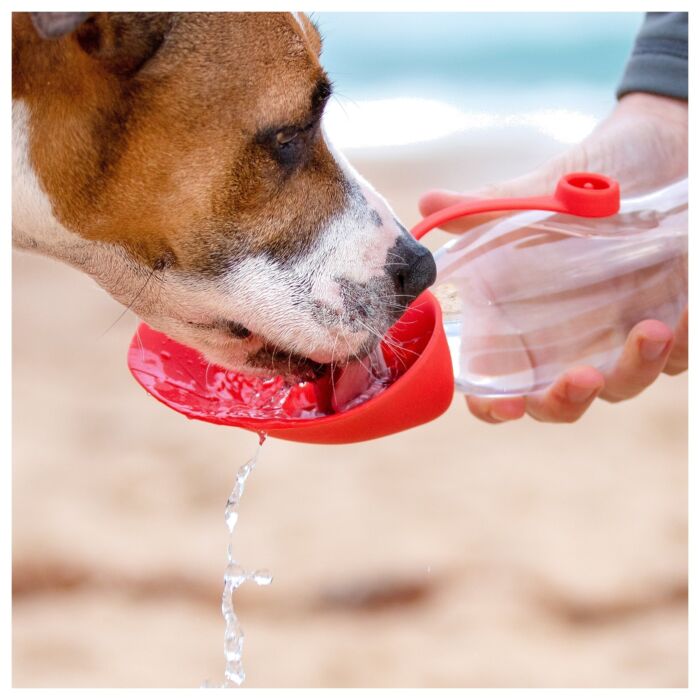 EZYDOG - 樹葉形水樽Pro 350ml - Red