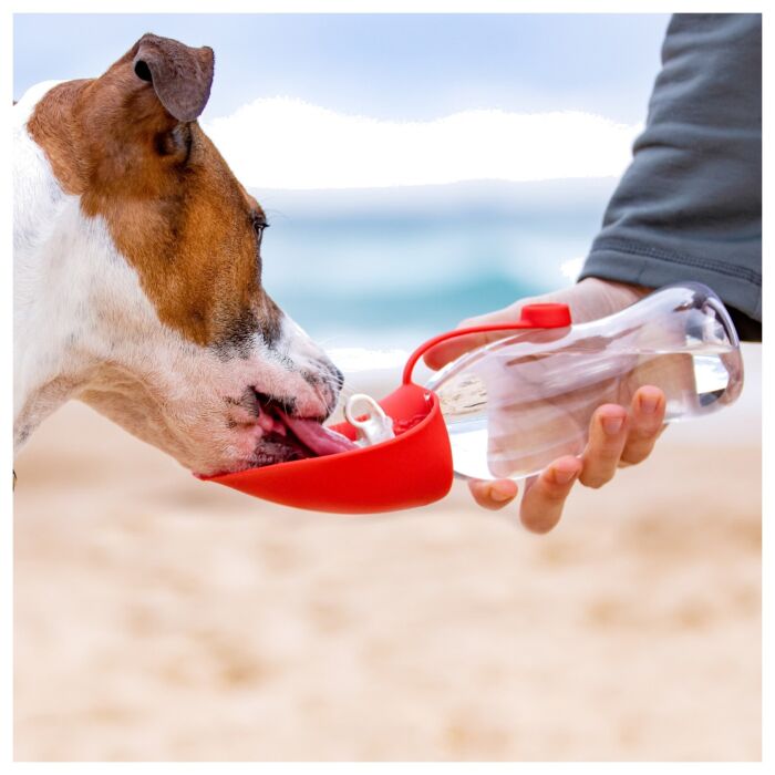 EZYDOG - 樹葉形水樽Pro 350ml - Red