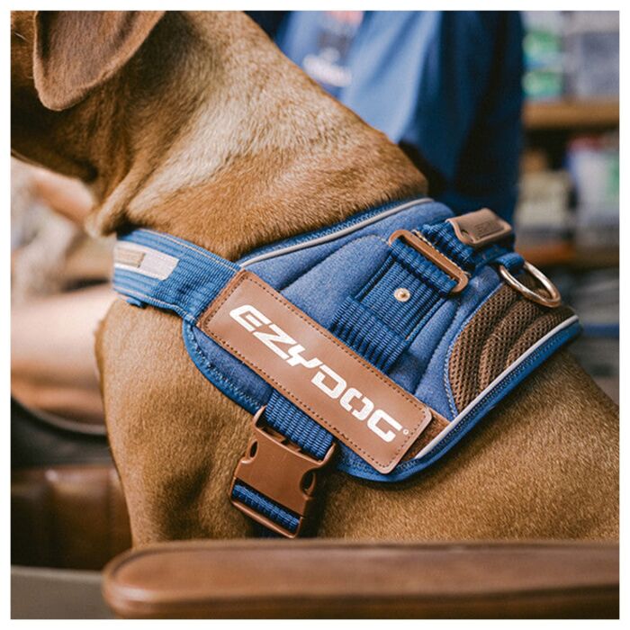 EZYDOG - Convert Harness