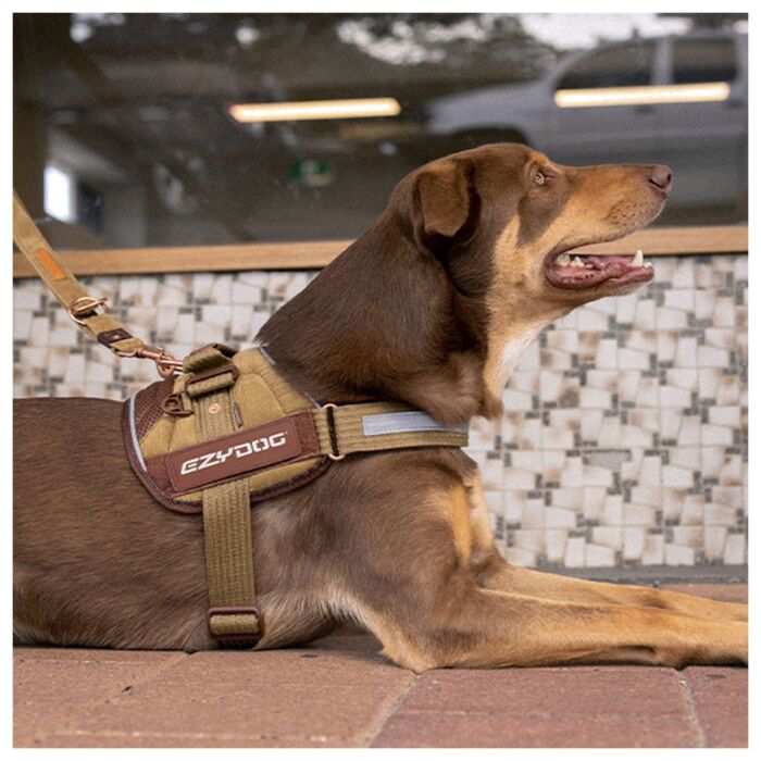 EZYDOG - Convert Harness
