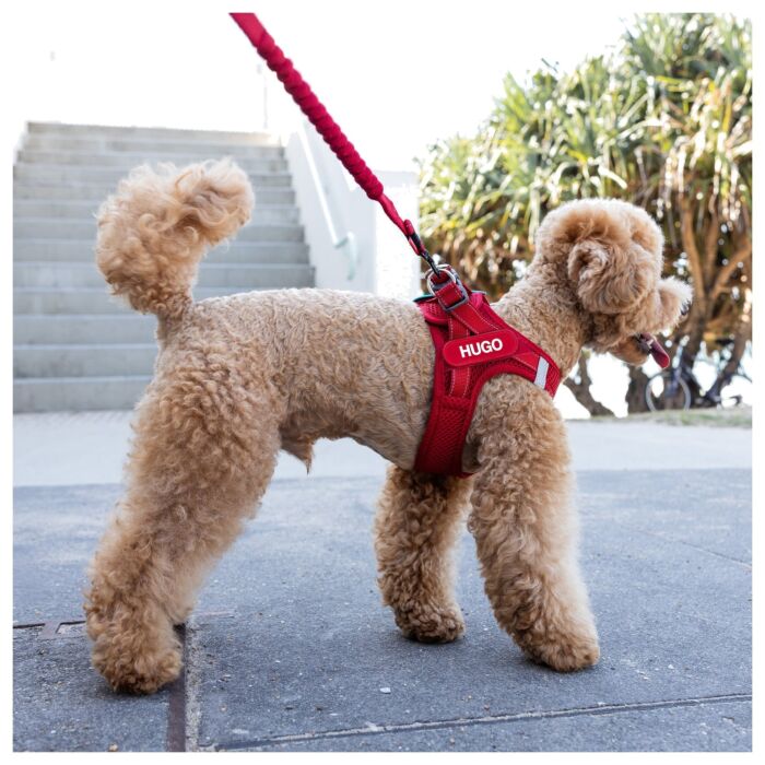 EZYDOG - FormFit Dog Mesh Harness