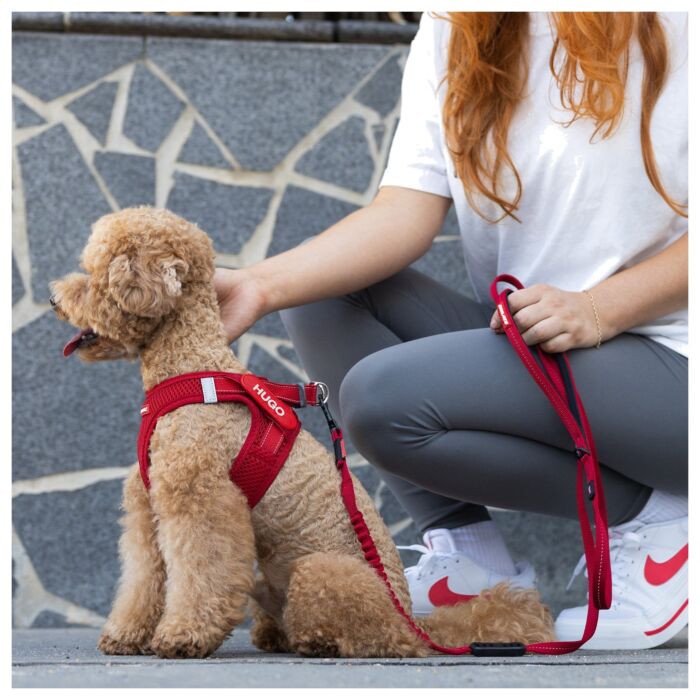 EZYDOG - FormFit Dog Mesh Harness