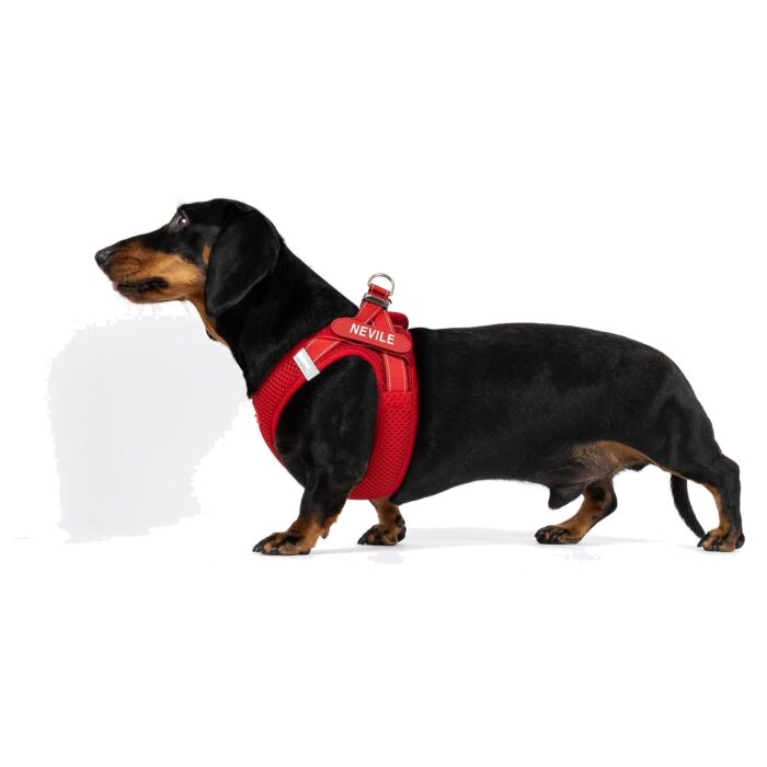 EZYDOG - FormFit Dog Mesh Harness