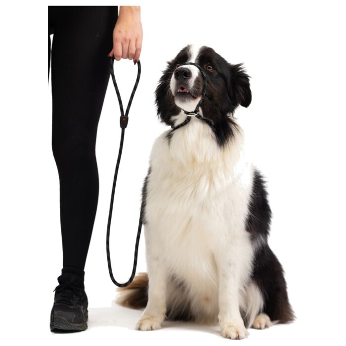 EZYDOG - Luca Dog Leash