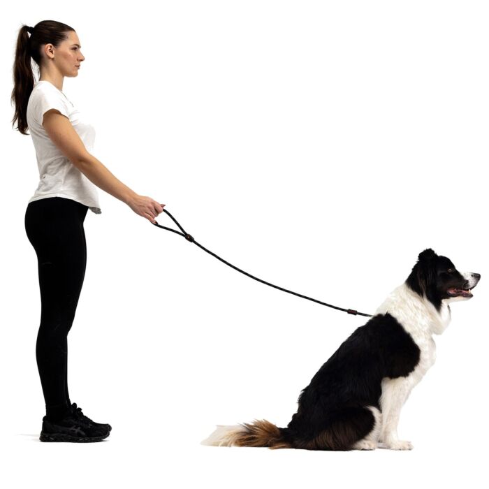 EZYDOG - Luca Dog Leash