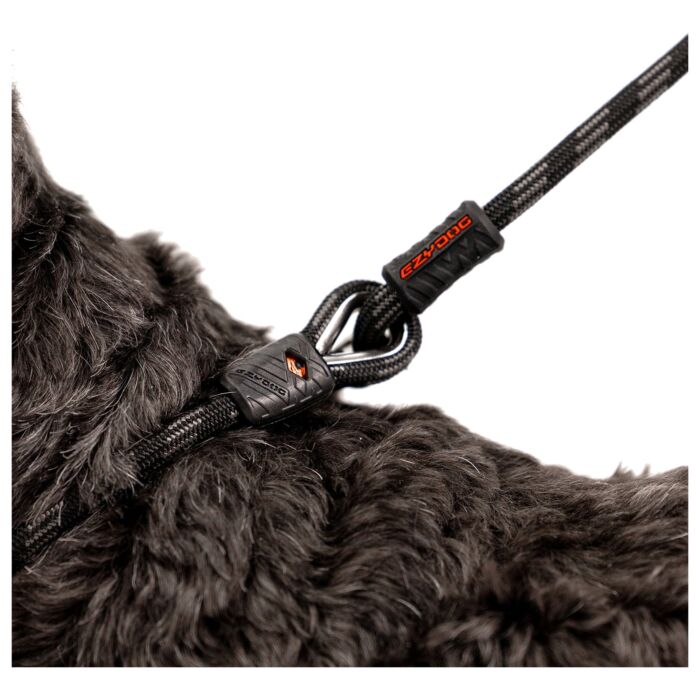 EZYDOG - Luca Dog Leash