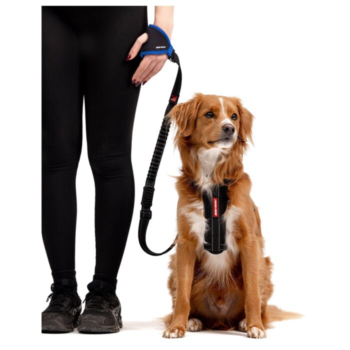 EZYDOG - Adjustable Handy Leash