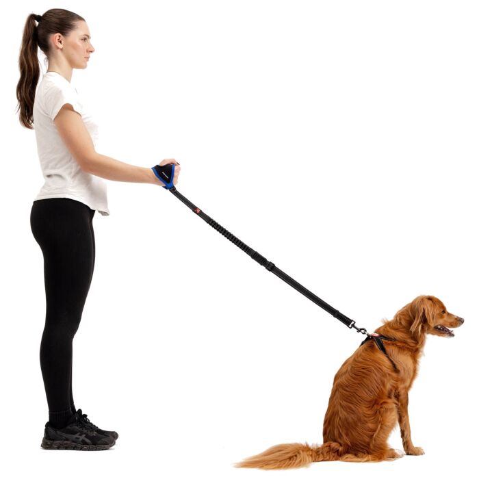 EZYDOG - Adjustable Handy Leash