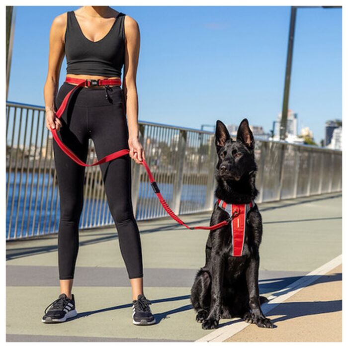 EZYDOG Road Runner Leash Lite