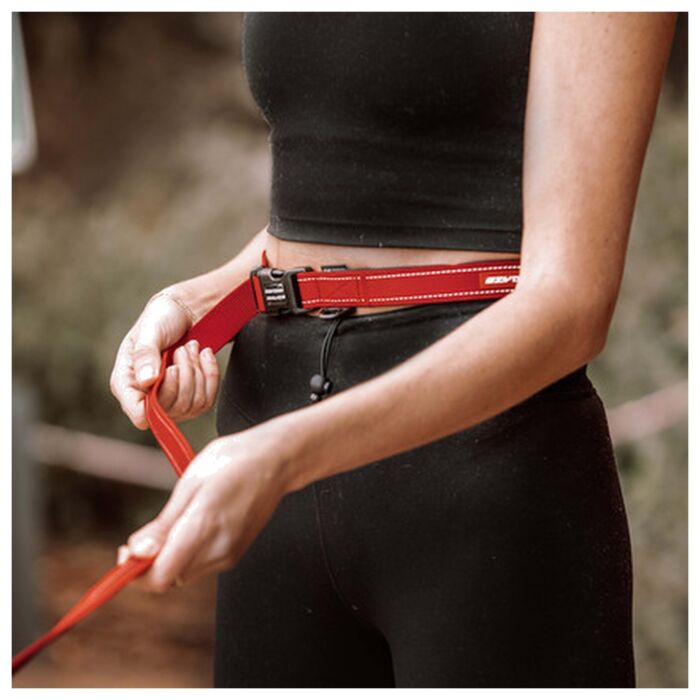 EZYDOG Road Runner Leash Lite