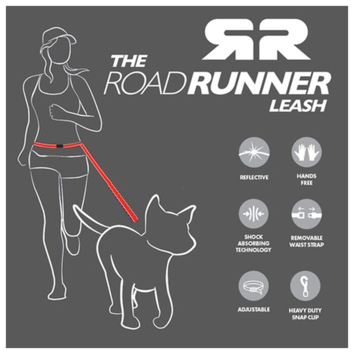 EZYDOG Road Runner Leash Lite