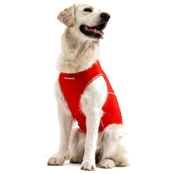 EZYDOG - Dog Rashie - Red