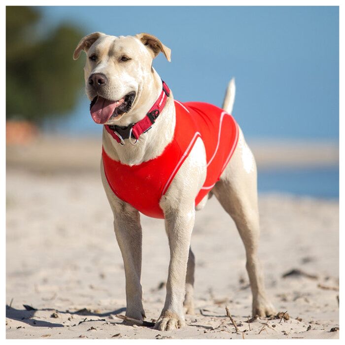 EZYDOG - Dog Rashie - Red
