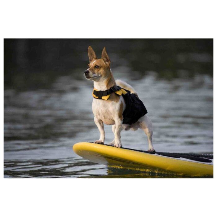 EZYDOG - 迷你浮水衣