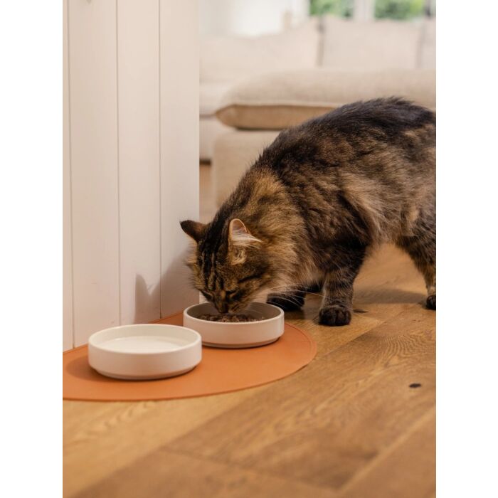 Feline Natural Freeze Dried Cat Food - Chicken Feast 320g