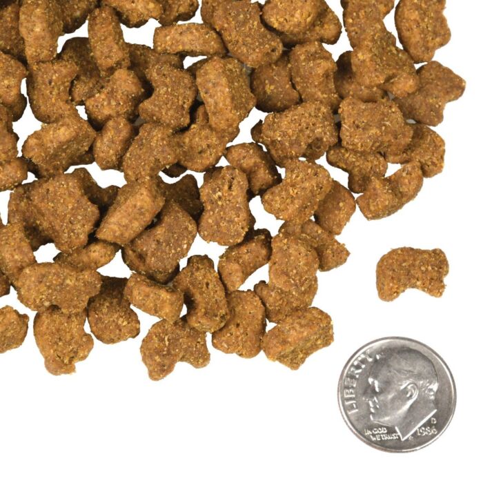 FROMM Dog Food - 4-Star Grain Free - Lamb & Lentil