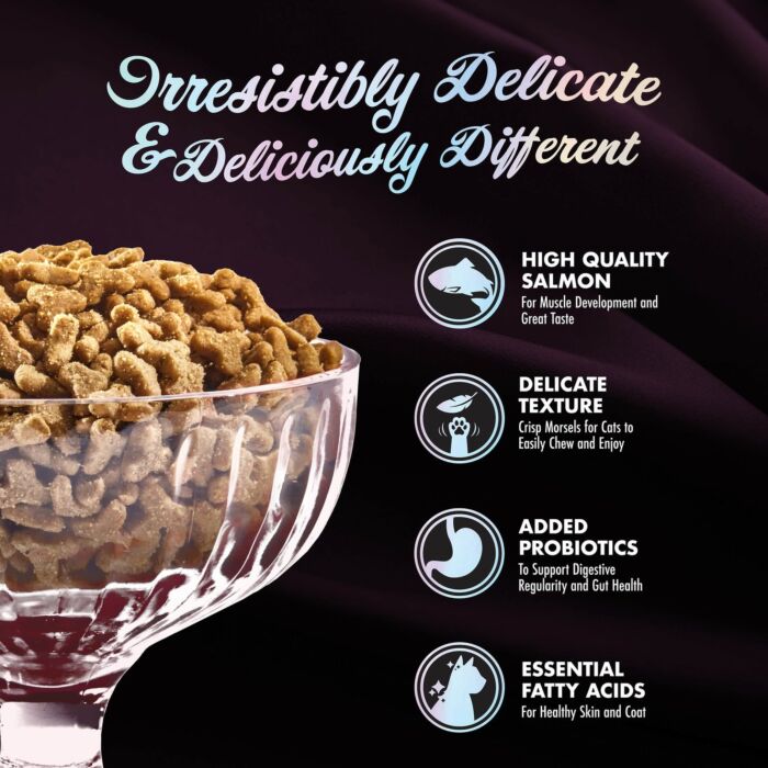 Trial Pack FROMM Cat Food - PurrSnickitty - Salmon Splendor