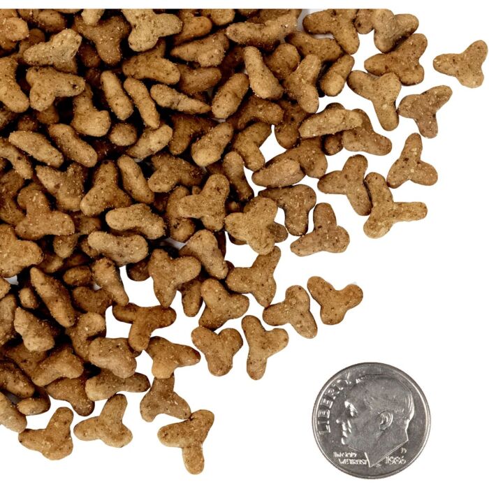 Trial Pack FROMM Cat Food - PurrSnickitty - Salmon Splendor