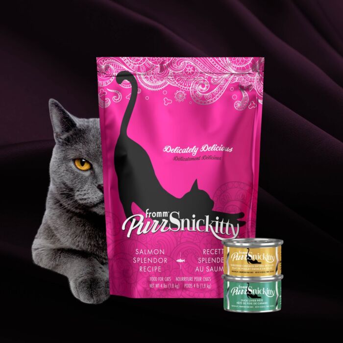FROMM Cat Food - PurrSnickitty - Salmon Splendor 6oz