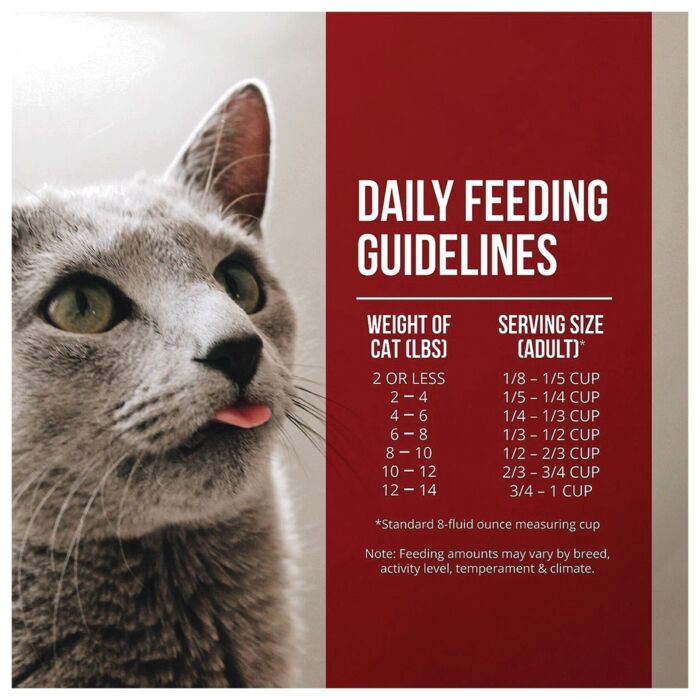 Fussie Cat Market Fresh 雞肉及火雞配方 3.5LB
