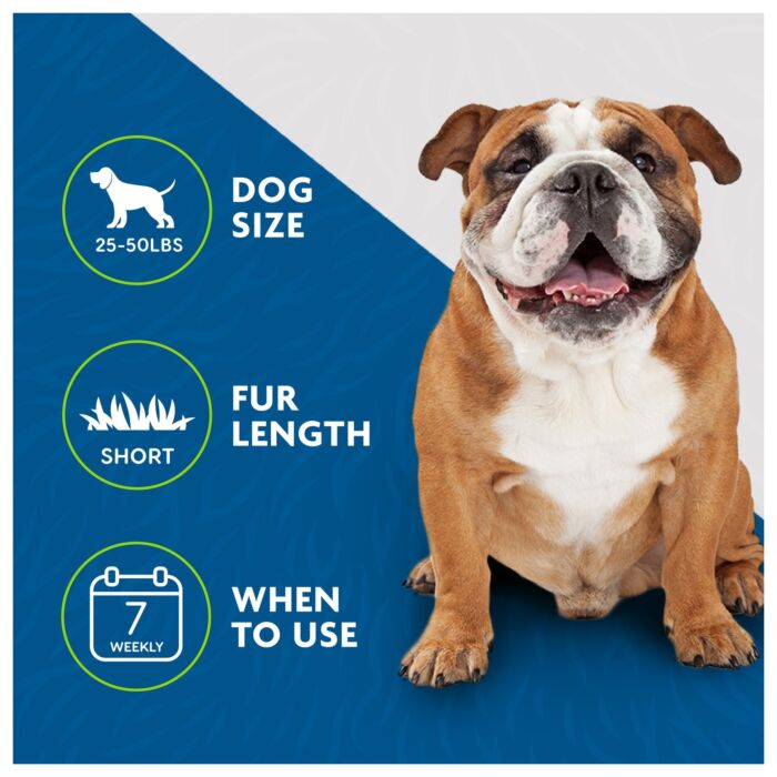 Furminator 短毛中型狗去毛梳 (25-50lb)