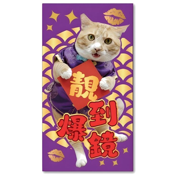 Wellness2026年(大舊)利是封 (10個)