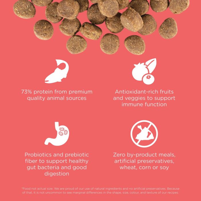 Go! SOLUTIONS Dog Food - Carnivore - Grain Free Salmon & Cod