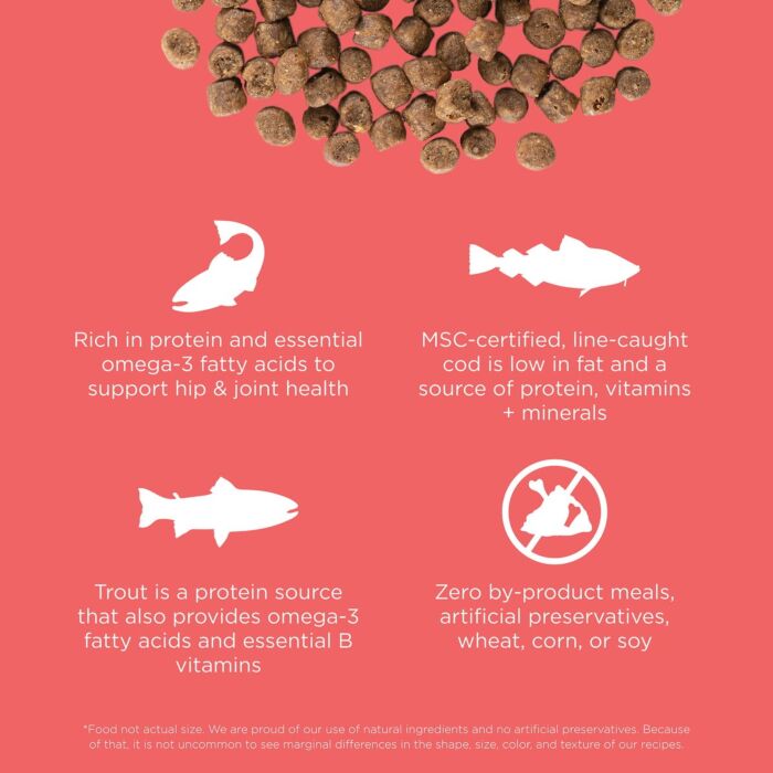 Go! SOLUTIONS Cat Food - Carnivore - Grain Free Salmon & Cod