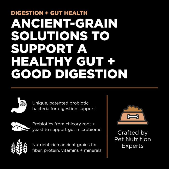 Go! SOLUTIONS Cat Food - Digestion & Gut - Salmon With Grains