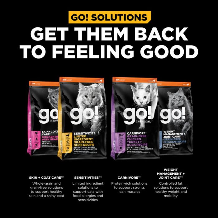 Go! SOLUTIONS Cat Food - Digestion & Gut - Salmon With Grains