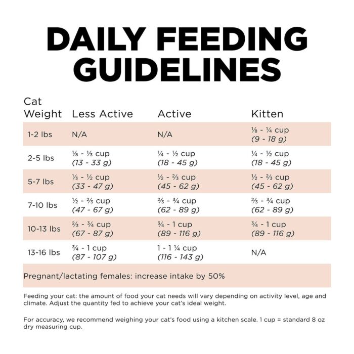 Go! SOLUTIONS Cat Food - Digestion & Gut - Salmon With Grains