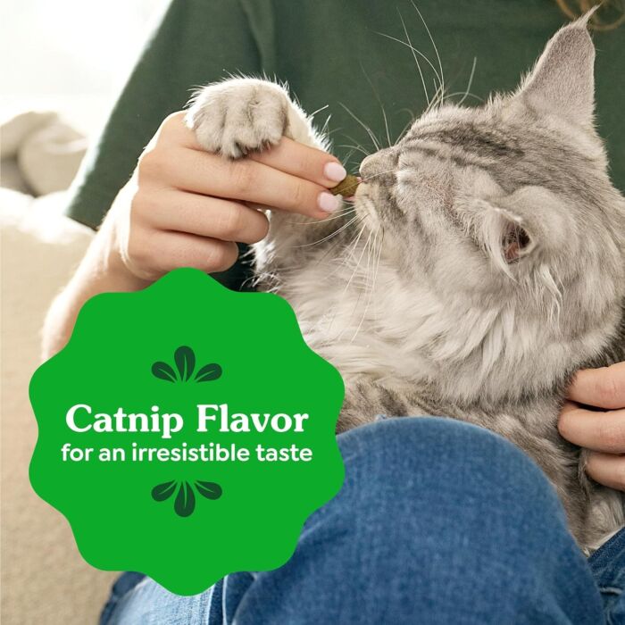 Greenies Cat Dental Treat - Catnip Jumbo Tub 9.75oz