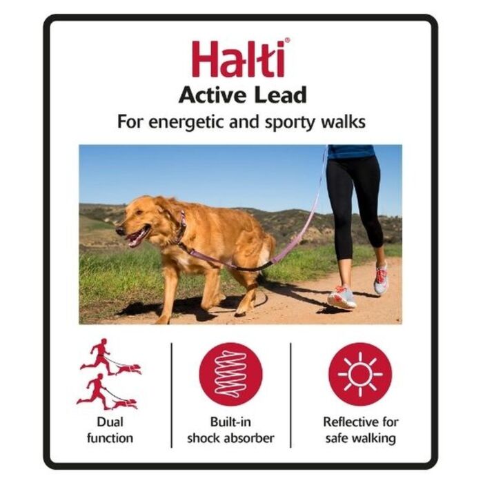 Company of Animals Halti Active Lead - Black