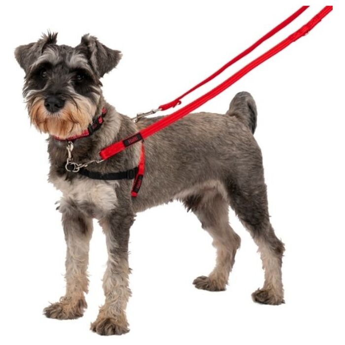 Company of Animals Halti Front Control Harness
