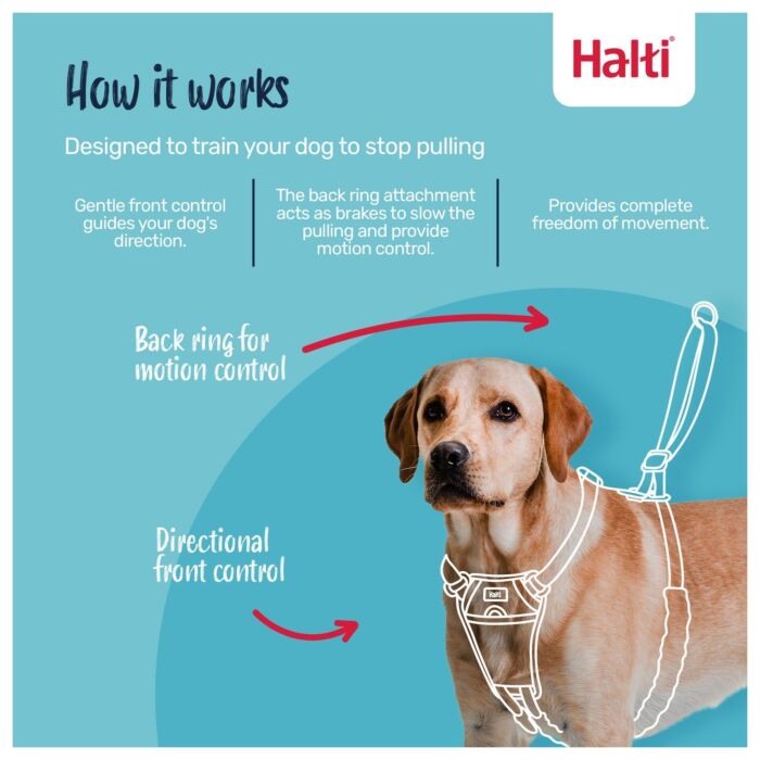 Company of Animals Halti No Pull Harness