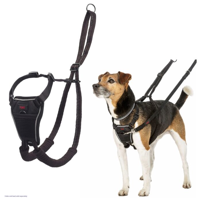 Company of Animals Halti No Pull Harness