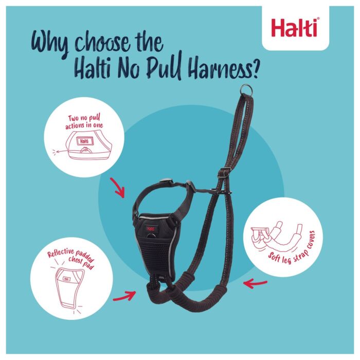 Company of Animals Halti No Pull Harness