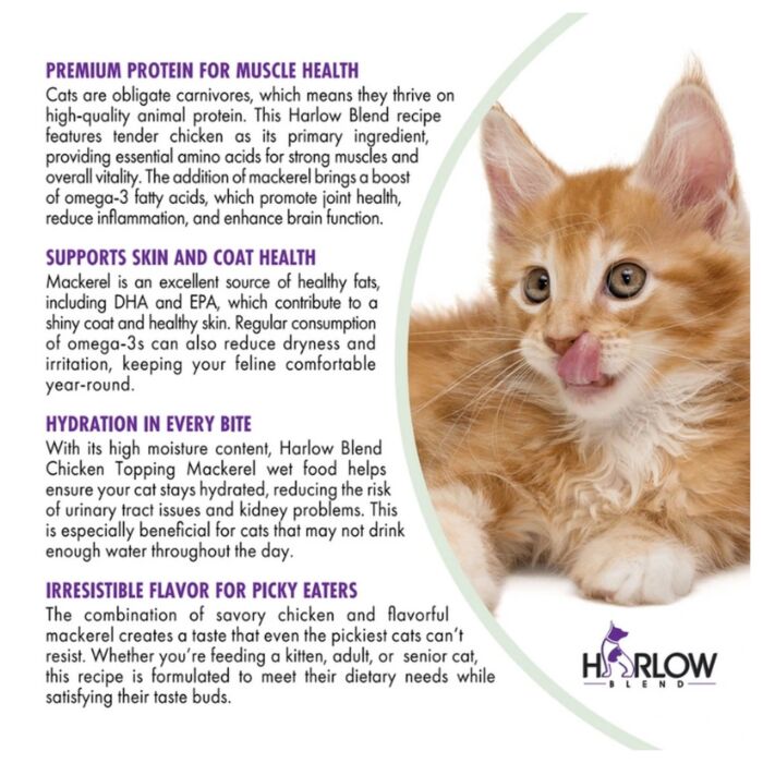 Harlow Blend Cat Wet Food - Grain Free Chicken in Gravy Topping Mackerel 80g