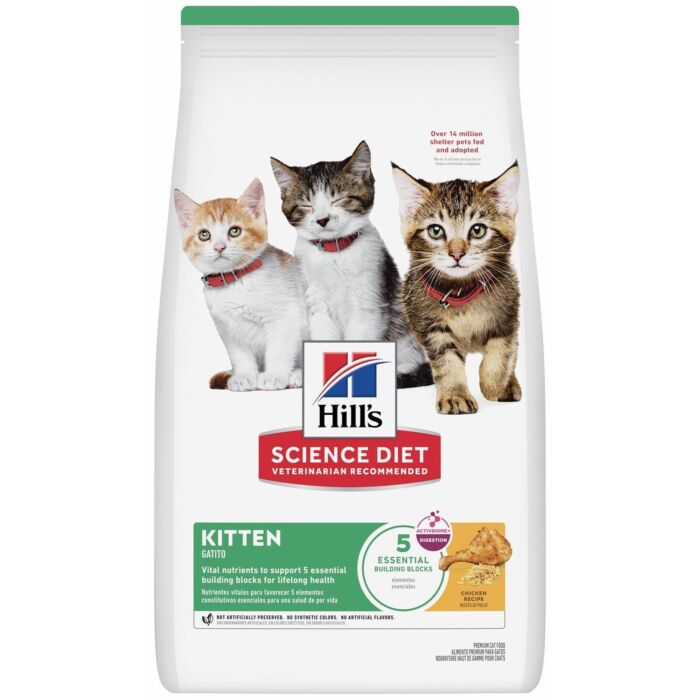 Hills Kitten Dry Food - Science Diet Kitten