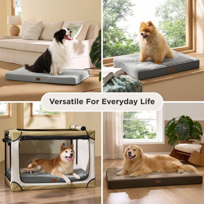Hills Pet Bed (L75cm x W75cm x H13cm)